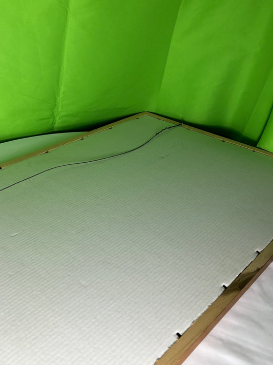 Beautiful Forest Framed Print