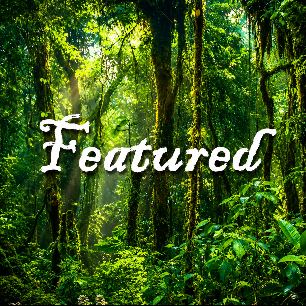 Featured