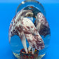 Vintage Murano Glass Paperweights Lot of 2 Millefiori Mushroom Made in Italy