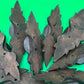 Antique Victorian Eastlake Carved Wood Drawer Pulls Floral Leaf Design Set of 8