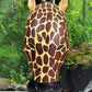 Wooden Giraffe Head Wall Hanging