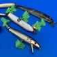 Lot of 8 Vintage Wooden Saltwater Fishing Lures Needlefish Poppers Swimmers Surf Plug Collection