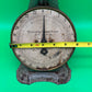 Antique Columbia Family Kitchen Scale 24 lb Landers Frary & Clark New Britain CT 1907 Pat.