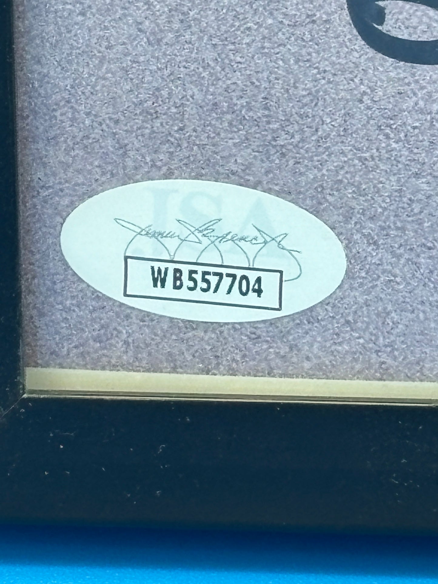 Nick Diaz autograph 8x10 photo JSA COA hologram auto signed UFC