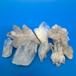 Natural Clear Quartz Crystal Cluster Lot 8 Mineral Specimens Points Matrix Raw