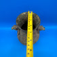 Chinese Archaistic Bronze Hu Vase Elephant Head Ring Handles Figural 11”