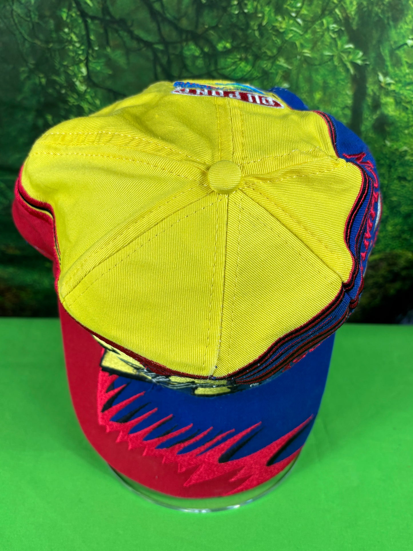 Vintage 1998 NASCAR Racing Jeff Gordon #24 Snapback Winston Cap Hat