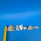 Natural Clear Quartz Crystal Cluster Lot 8 Mineral Specimens Points Matrix Raw