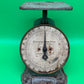 Antique Columbia Family Kitchen Scale 24 lb Landers Frary & Clark New Britain CT 1907 Pat.