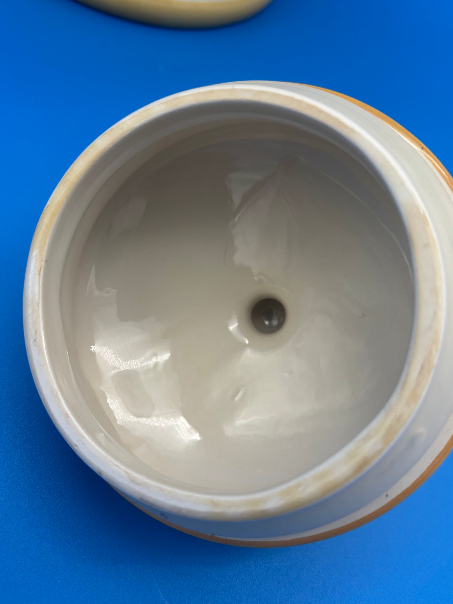 Beautiful Grape Theme Cookie Jar