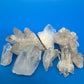 Natural Clear Quartz Crystal Cluster Lot 8 Mineral Specimens Points Matrix Raw