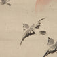 Kano Eigaku Japanese Edo Hanging Scroll Sparrows Morning Sun Signed Sealed Box