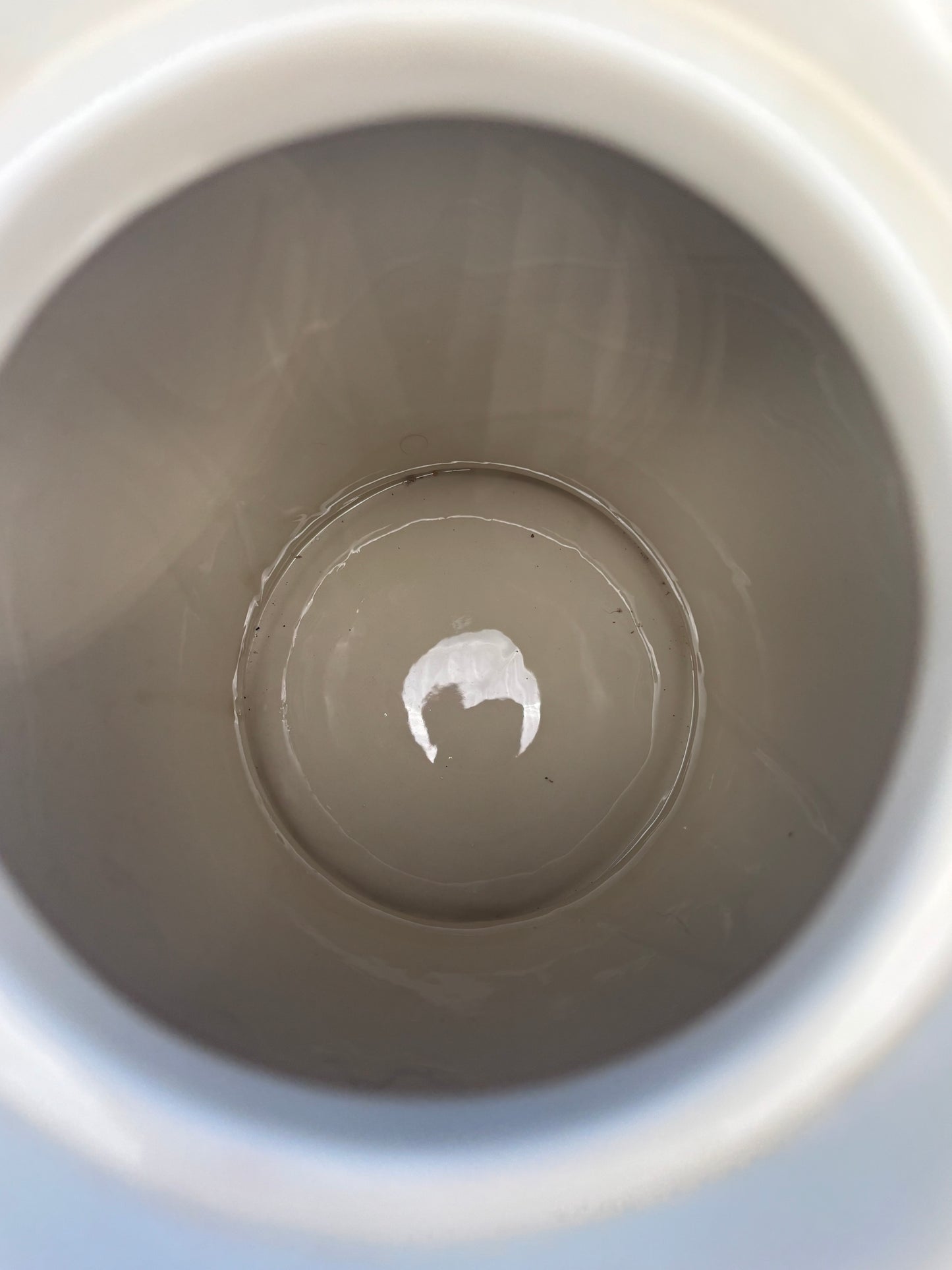 Beautiful Grape Theme Cookie Jar