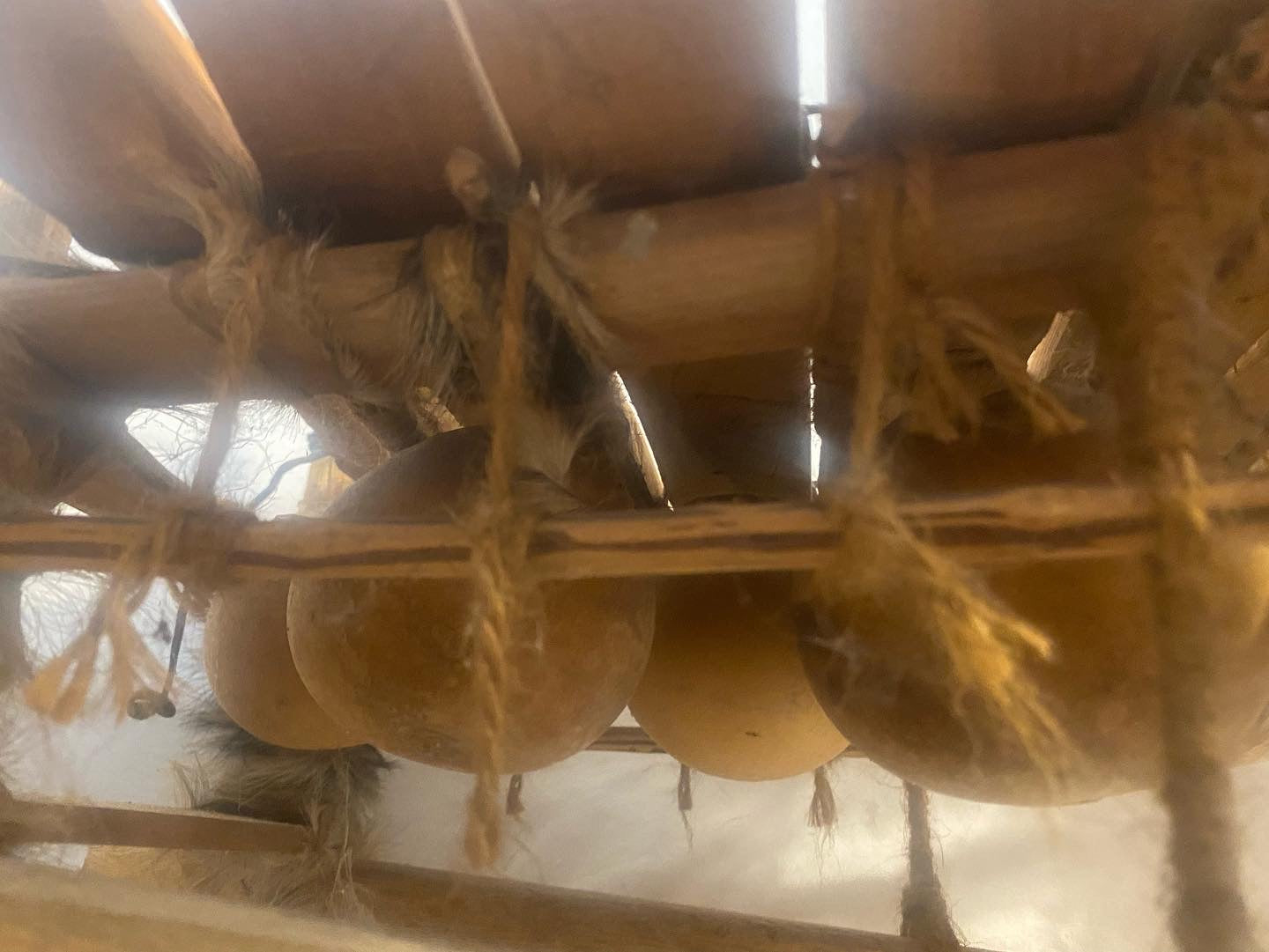 Musical Instruments From Cameroon