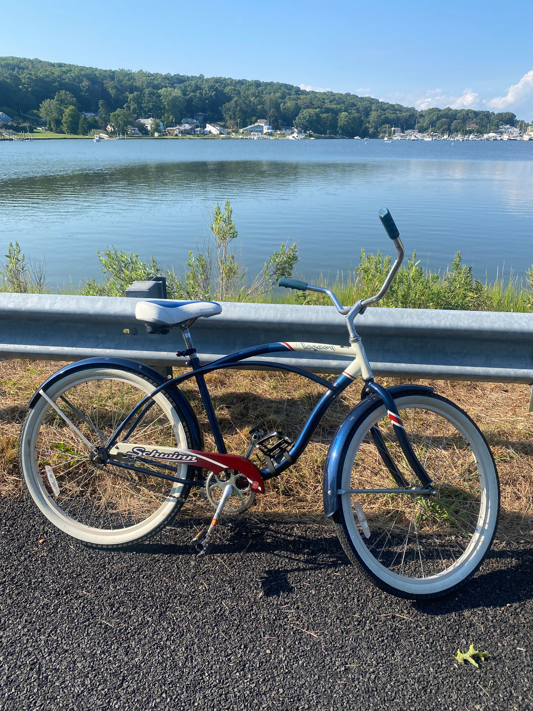 Red White Blue Legacy Schwinn Bike Male Global Galleries